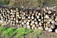 Log wall