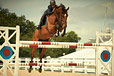 Rider tests out the field of play